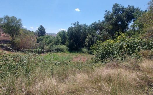 Terreny en venda a Santa Coloma de Queralt