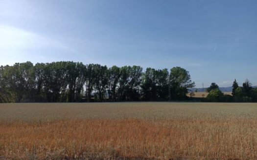 Casa adosada en venta en Montbui