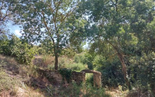 Terreny en venda a Santa Coloma de Queralt