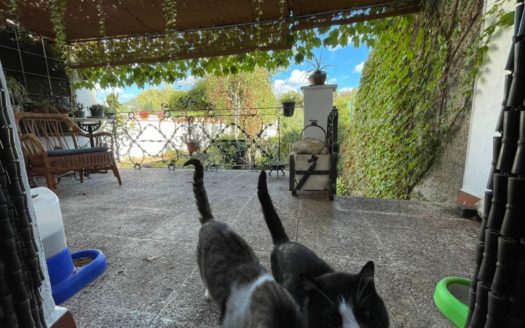 Casa adosada en venda a La Pobla de Claramunt