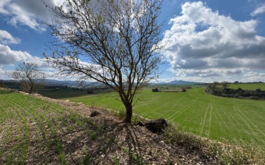 Exclusiva venta de chalet con vistas inigualables en Santa Coloma de Queralt
