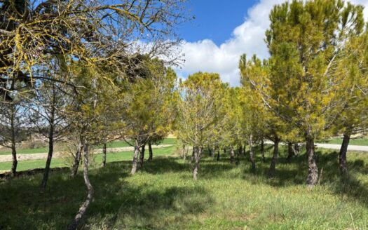 Exclusiva venta de chalet con vistas inigualables en Santa Coloma de Queralt